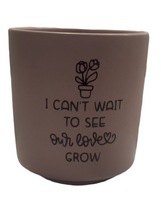 Mother’s Day Pink/green pot