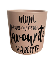 Mother’s Day Pink/green pot